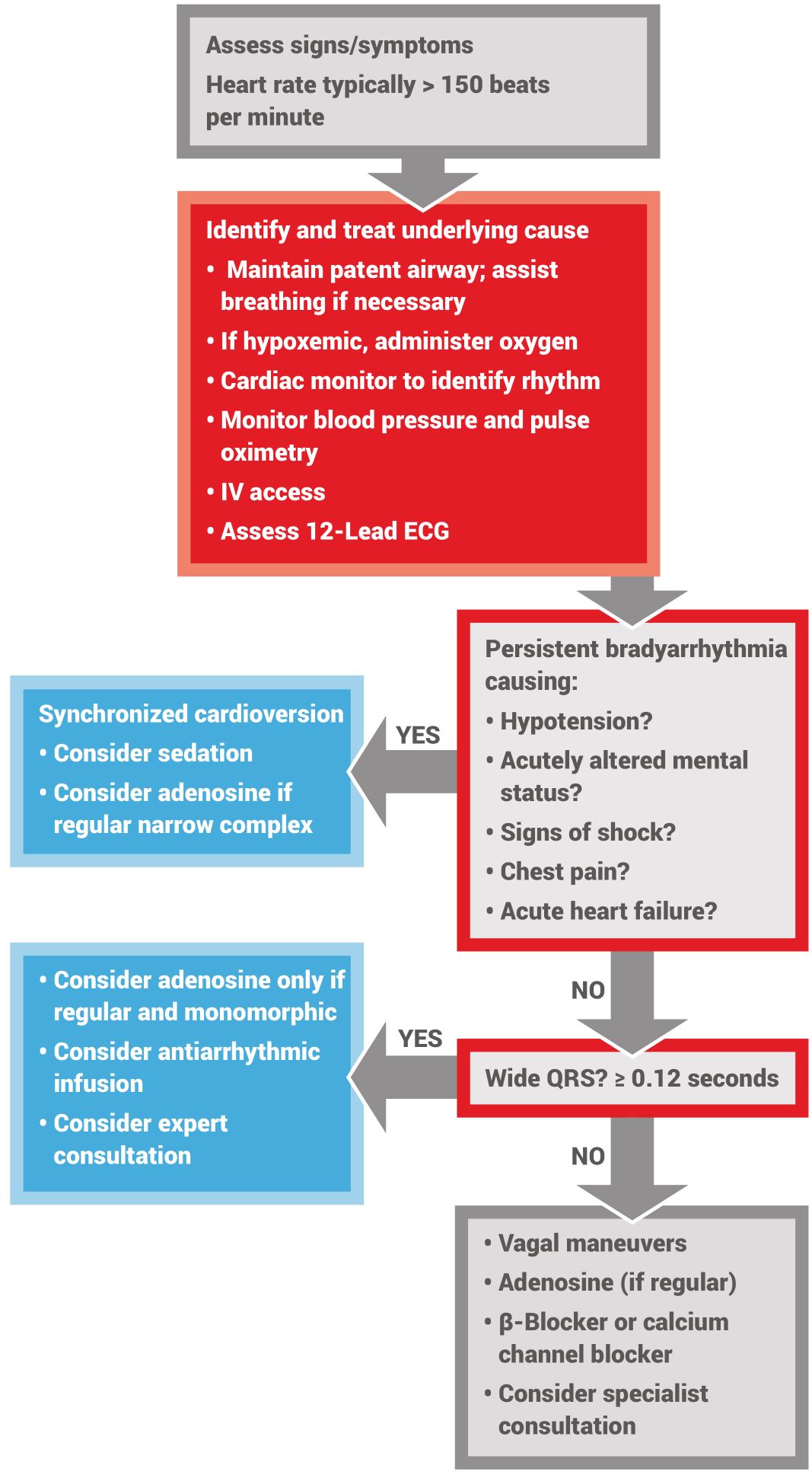 ACLS Adult Tachycardia with Pulse Algorithm