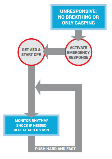 Adult Basic Life Support Algorithm For Health Care Providers