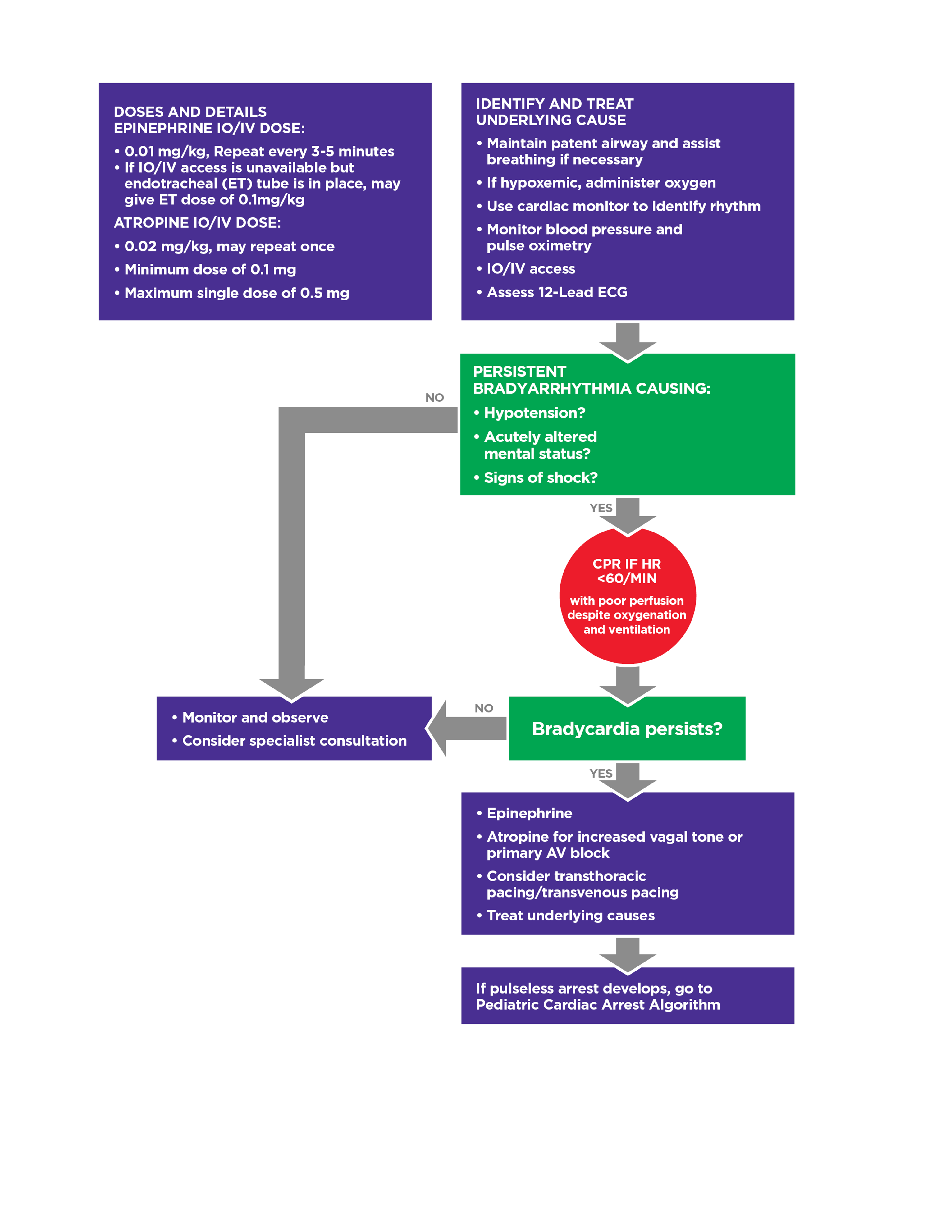 Pediatric Bradycardia with Pulse/Poor Perfusion Diagram