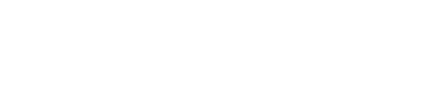 LifePoint Hospitals Logo