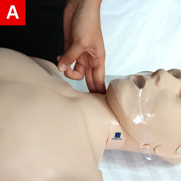 Check for the carotid pulse on the side of the neck
