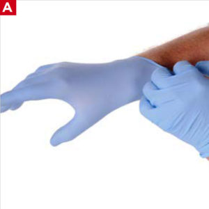 BBP Precautions - Gloves