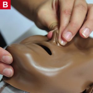 BLS Mouth-to-mouth Rescue Breathing B