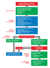 ACLS Acute Stroke Algorithm Guide