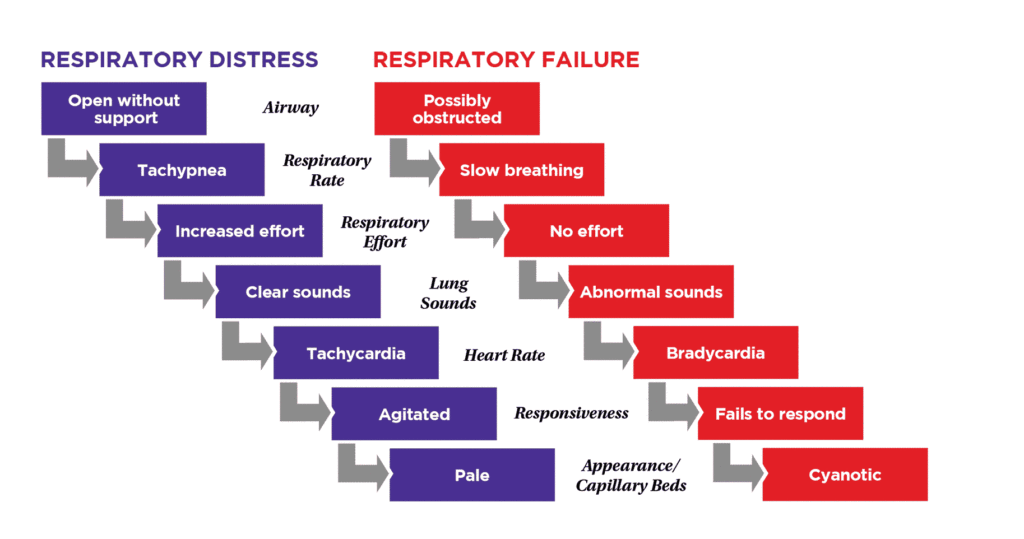 PALS Recognize Respiratory Distress/Failure