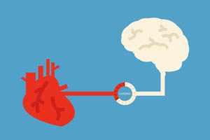 brain and heart connection