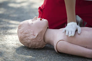 mannequin for compressions training
