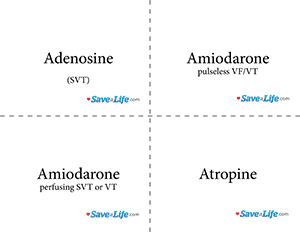 pals meds flashcards adenosine amiodarone atropine